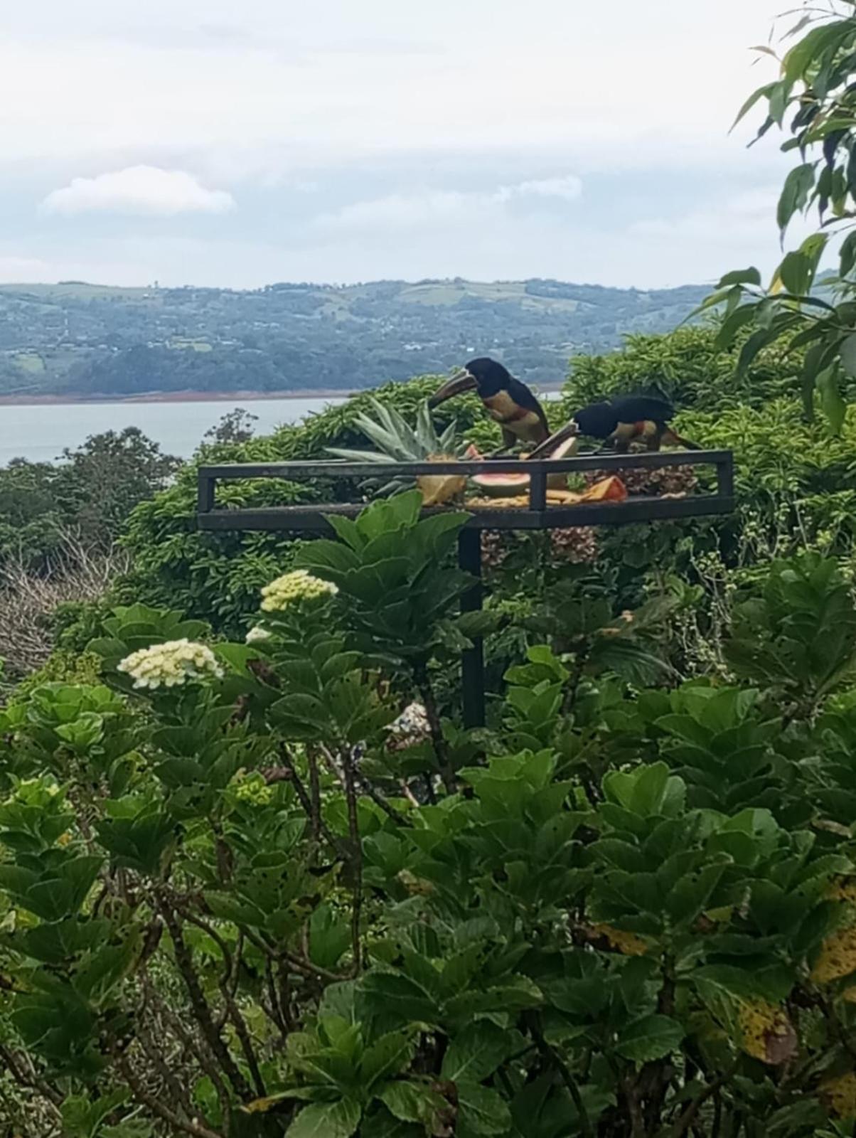 Lakegardens Arenal Apartment