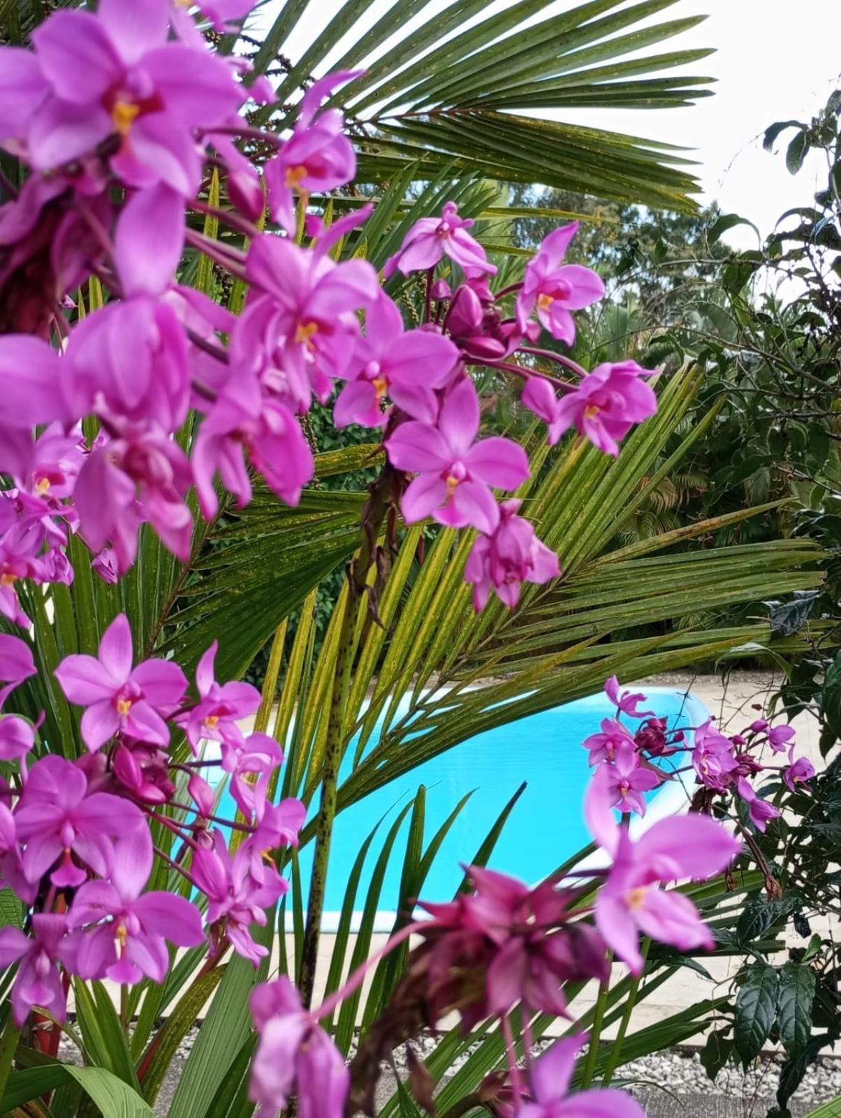 Lakegardens Arenal Nuevo Arenal