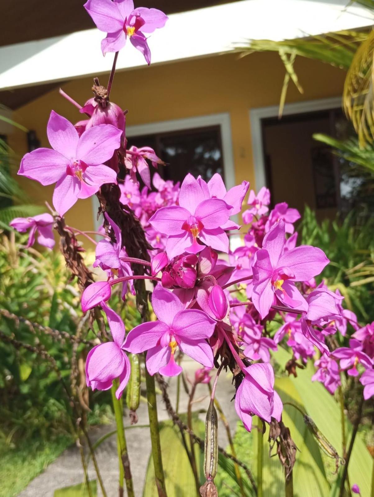 Lakegardens Arenal Apartment *