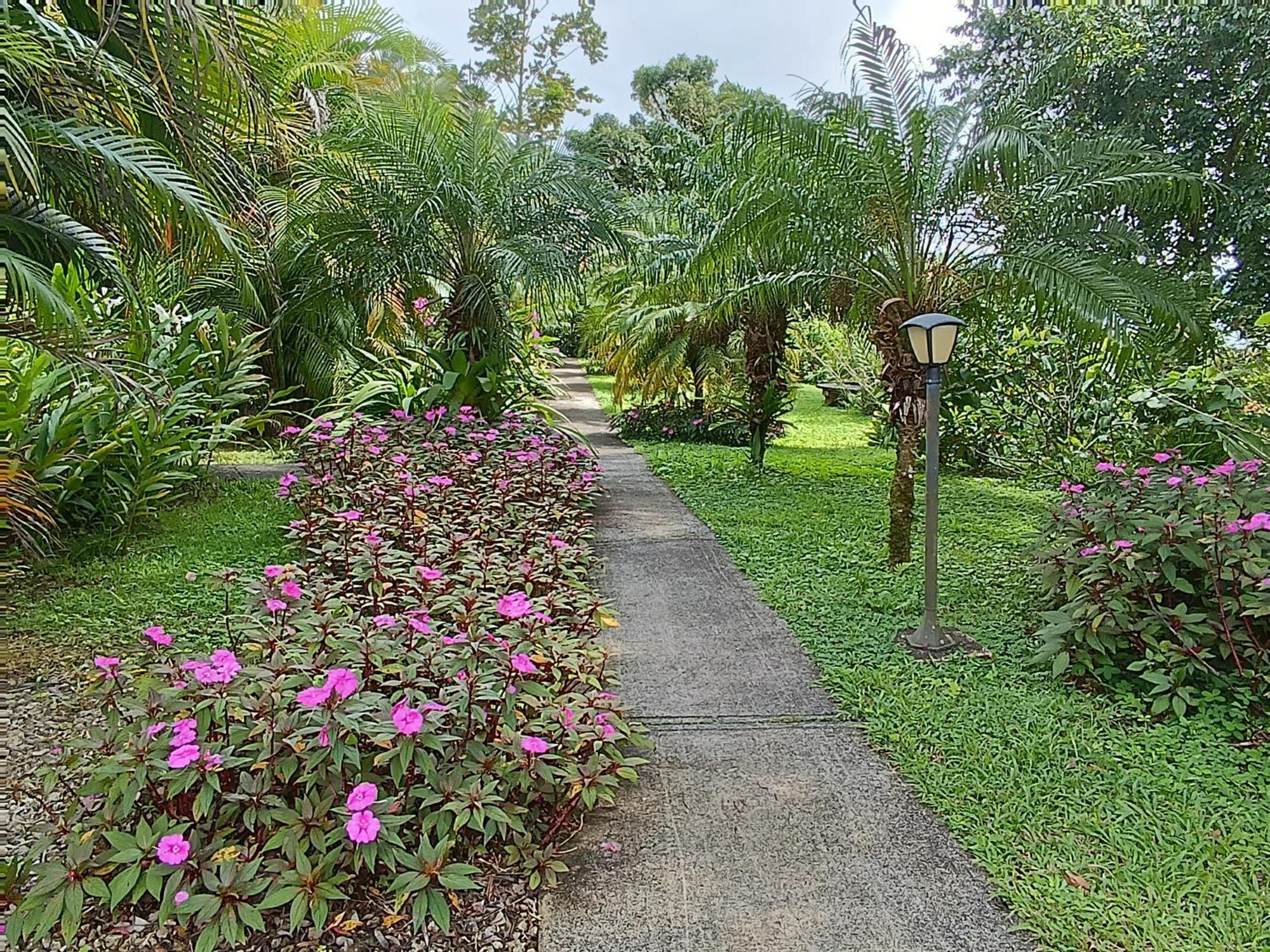 Lakegardens Arenal Nuevo Arenal