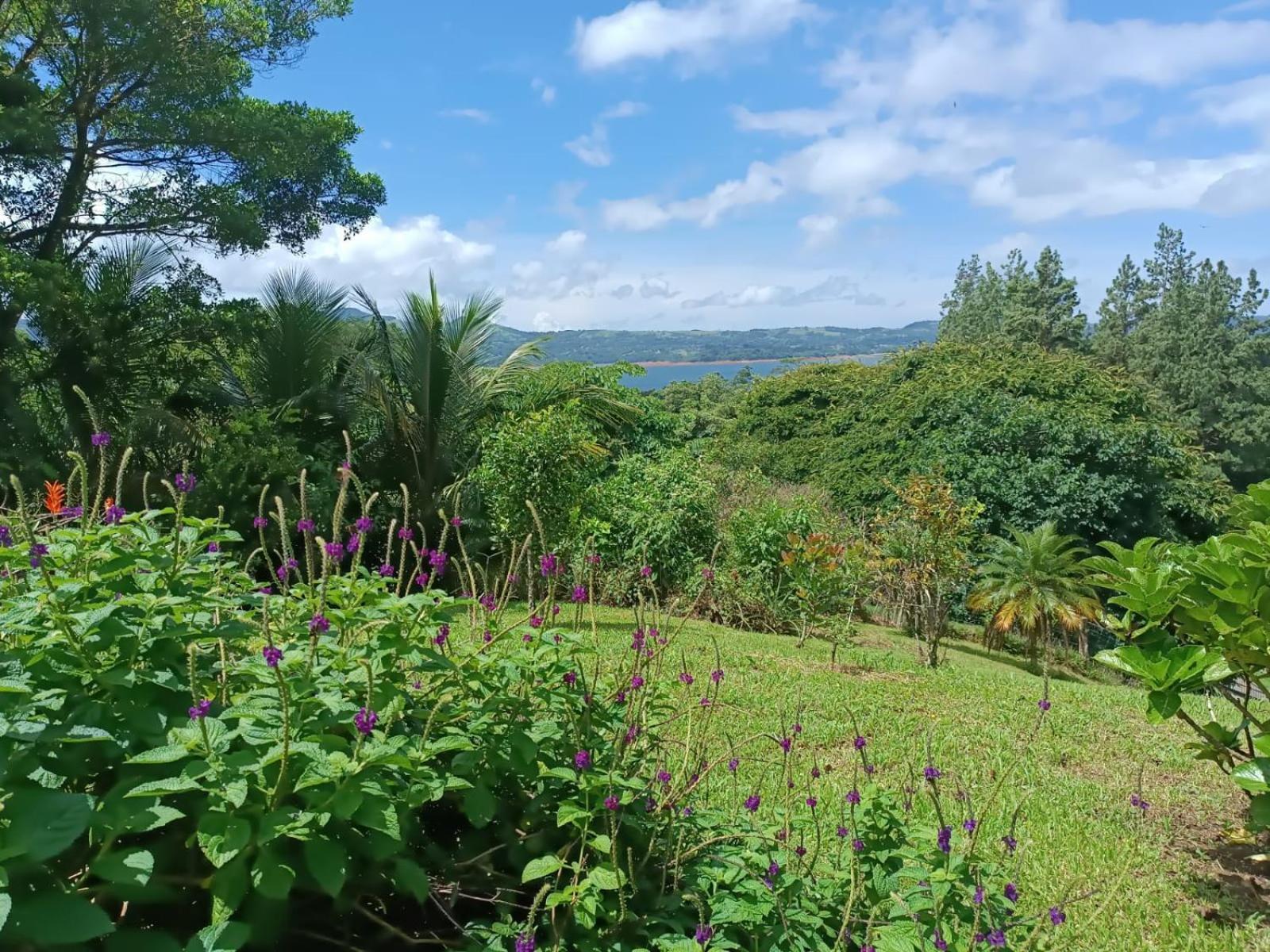 Lakegardens Arenal *