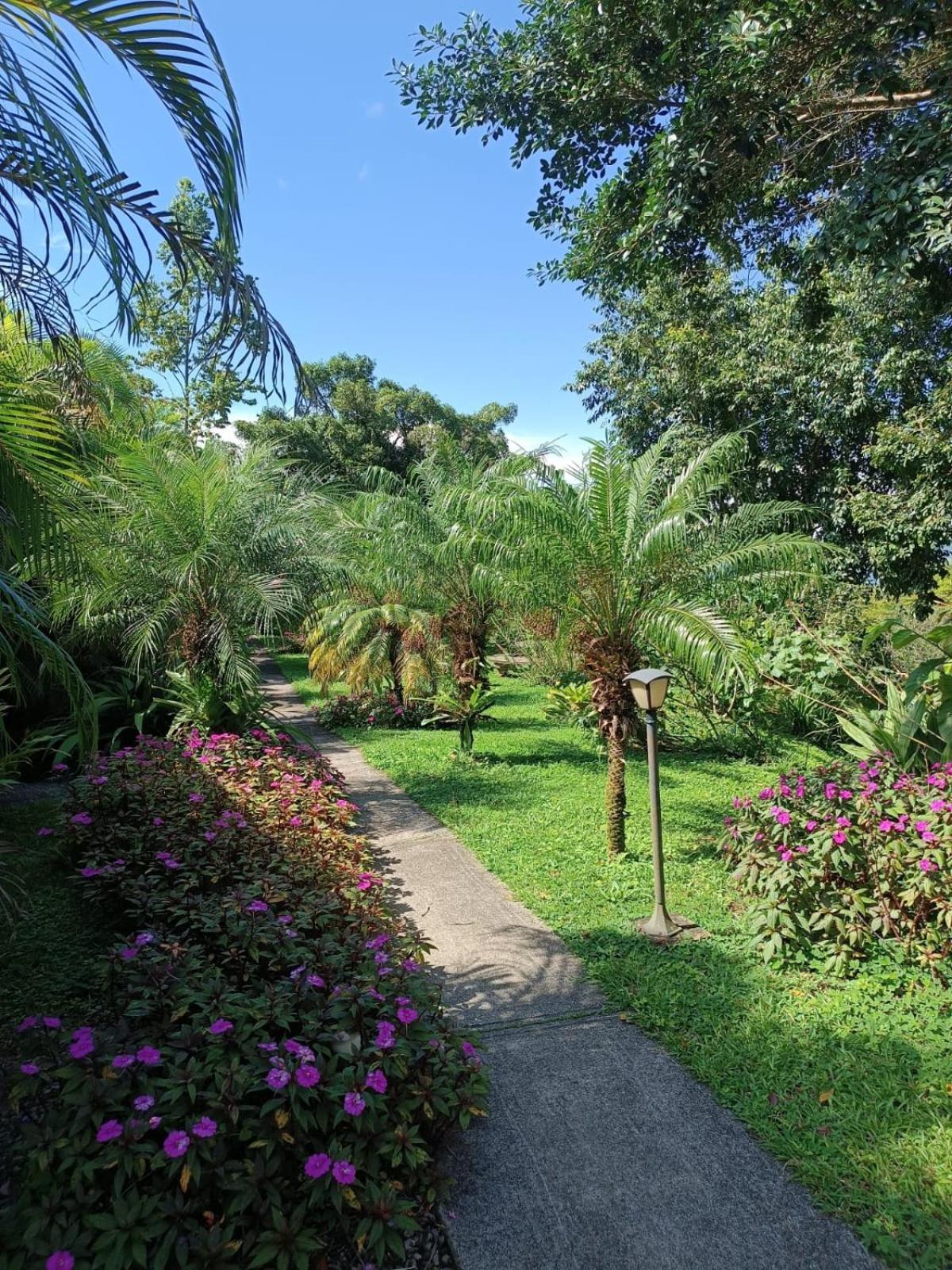 Lakegardens Arenal Apartment *