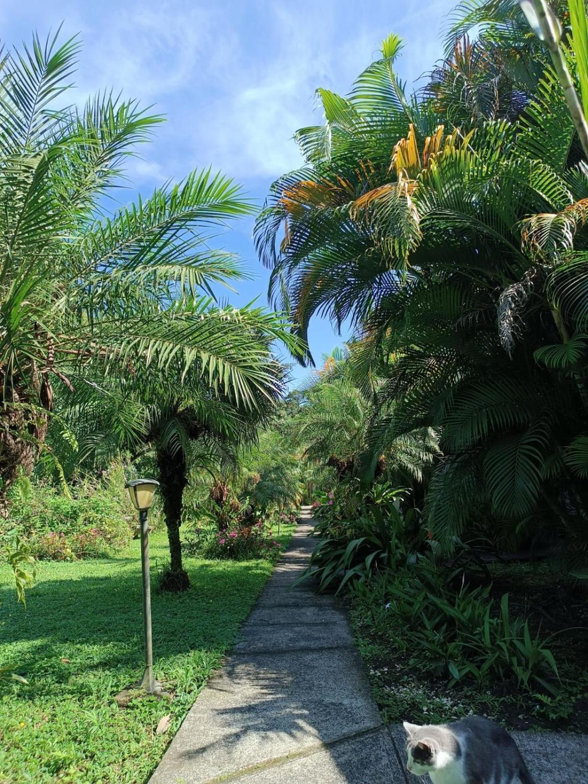 Lakegardens Arenal *