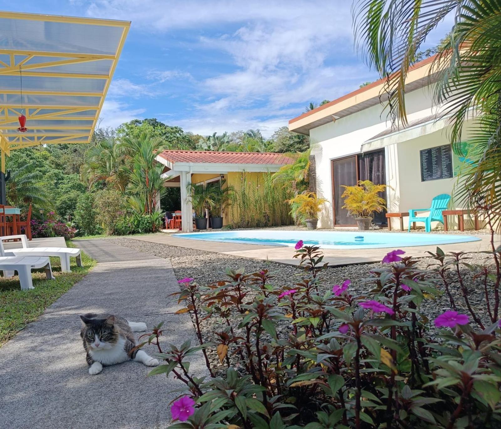 Lakegardens Arenal Nuevo Arenal