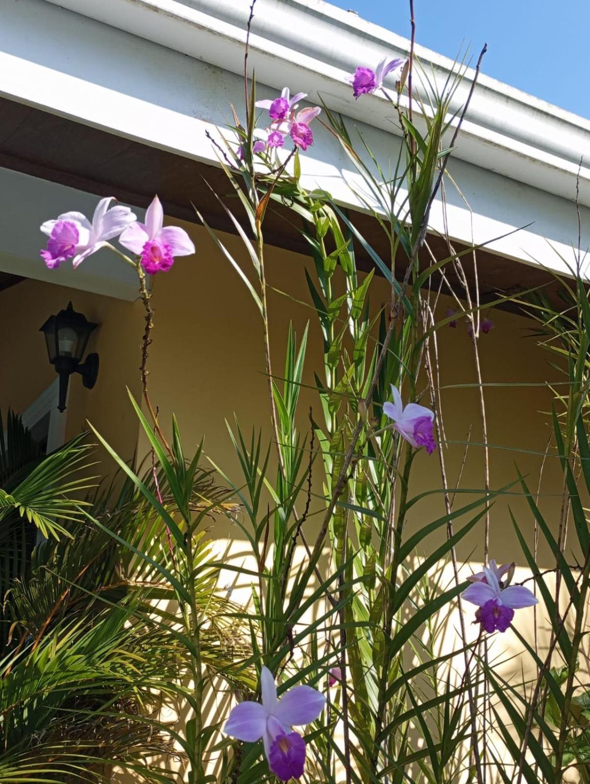 Lakegardens Arenal Apartamento